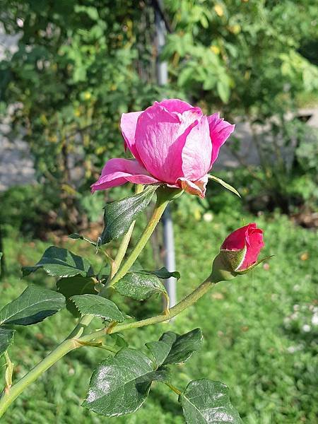 20191123_135155.jpg