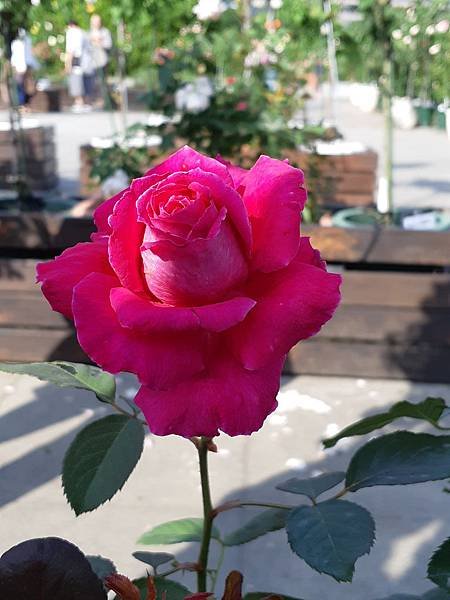 20191123_134927.jpg