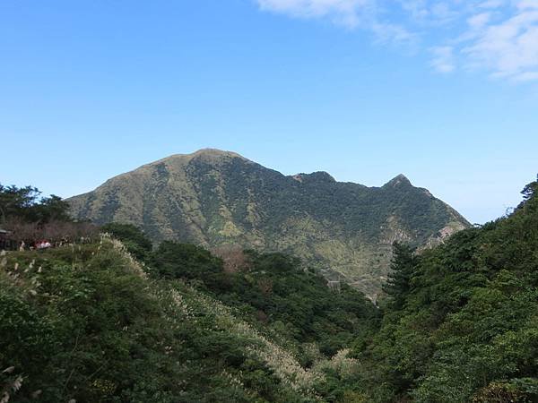 IMG_4372.JPG