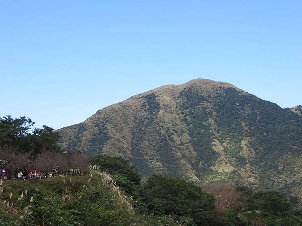 IMG_4373.JPG