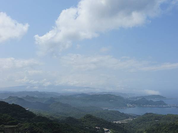 IMG_4769.JPG