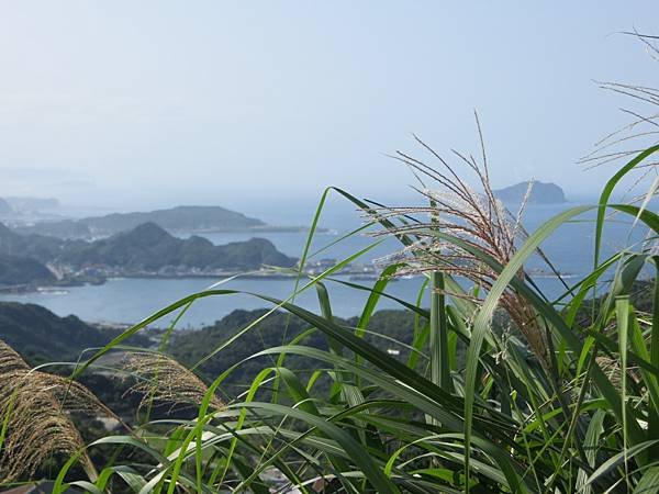 IMG_4806.JPG
