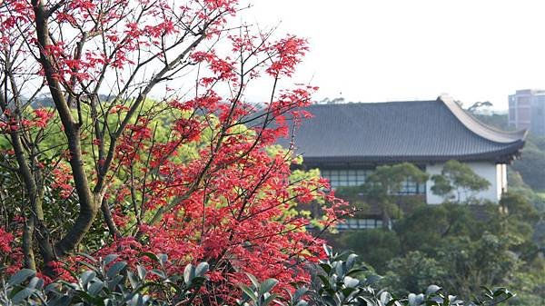 DSC02821.JPG