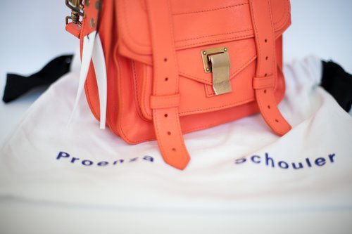 Proenza Schouler PS1 Pouch7