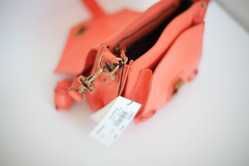 Proenza Schouler PS1 Pouch8
