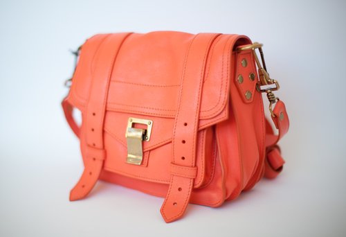 Proenza Schouler PS1 Pouch6