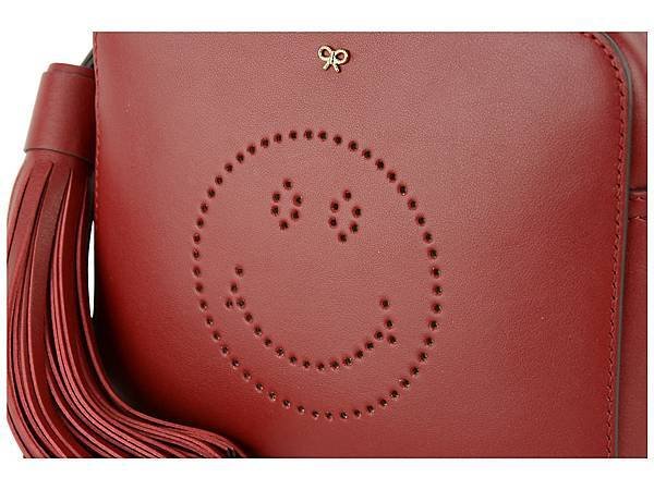 Anya Hindmarch crossbody bag5