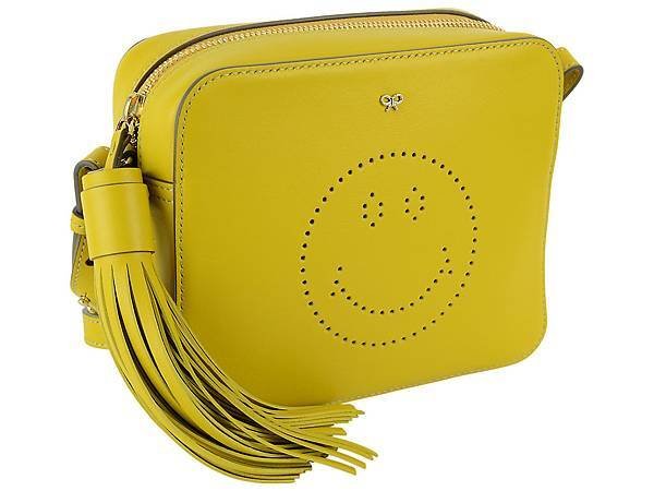 Anya Hindmarch crossbody bag2