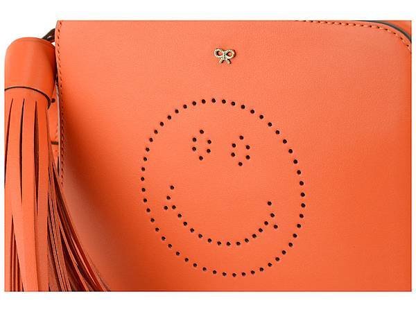 Anya Hindmarch crossbody bag5