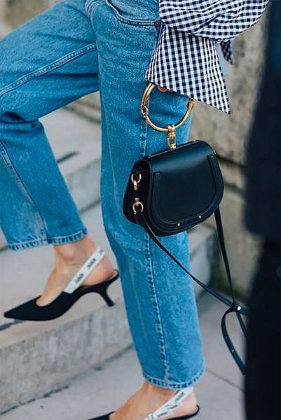 chloe bag6