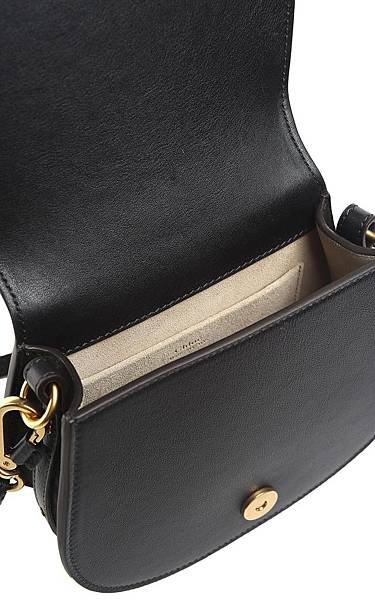 chloe bag4