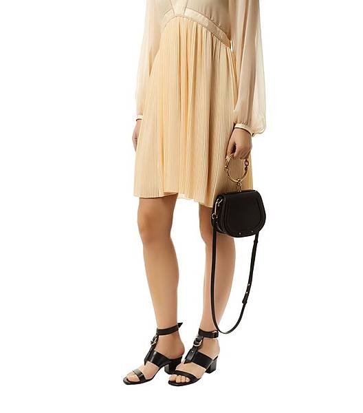 chloe bag12
