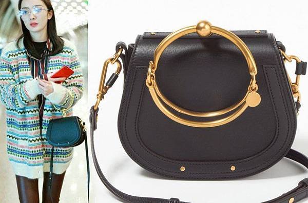 chloe bag13
