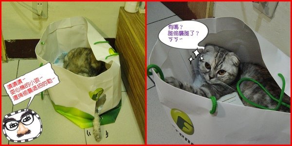 塑膠袋情緣~013.jpg
