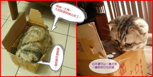 塑膠袋情緣~017.jpg