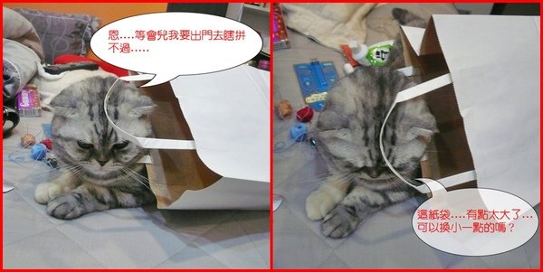 塑膠袋情緣~004.jpg