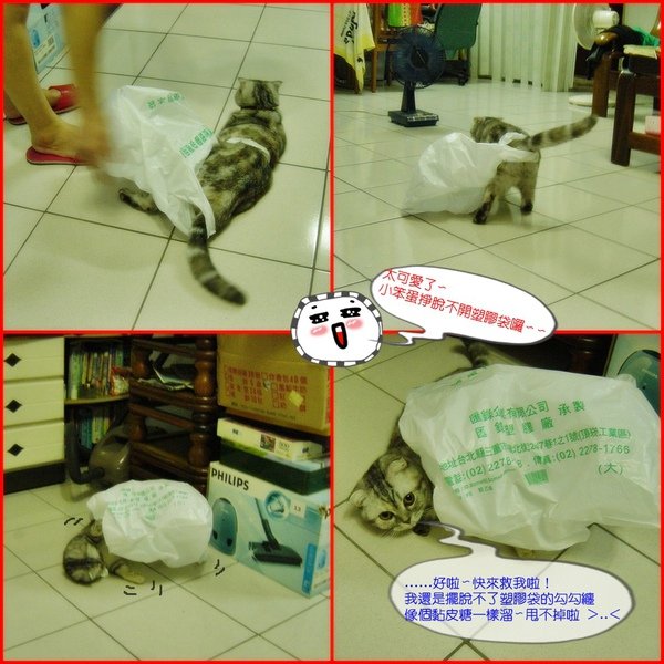 塑膠袋情緣~009.jpg