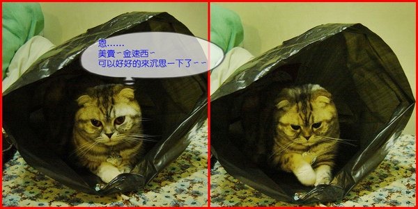 塑膠袋情緣~007.jpg