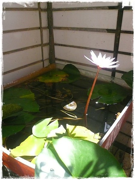 2010年09月~001.jpg