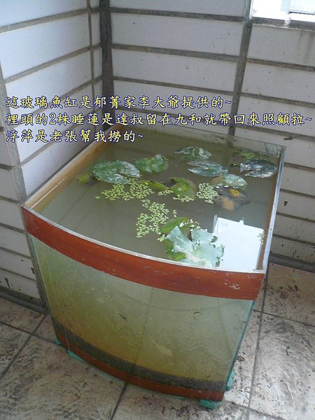 水池~001~新豋場的水缸呀~.jpg