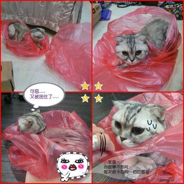 塑膠袋情緣~001.jpg