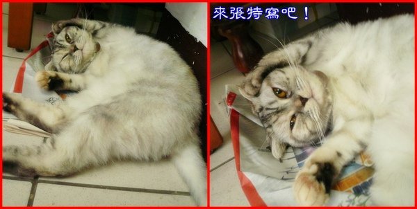 塑膠袋情緣~014.jpg