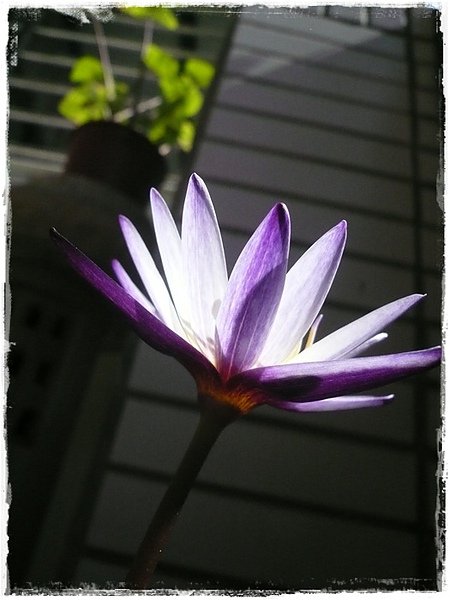 2010年09月~002.jpg