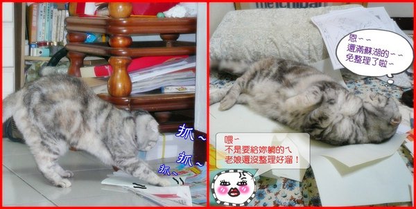 塑膠袋情緣~016.jpg