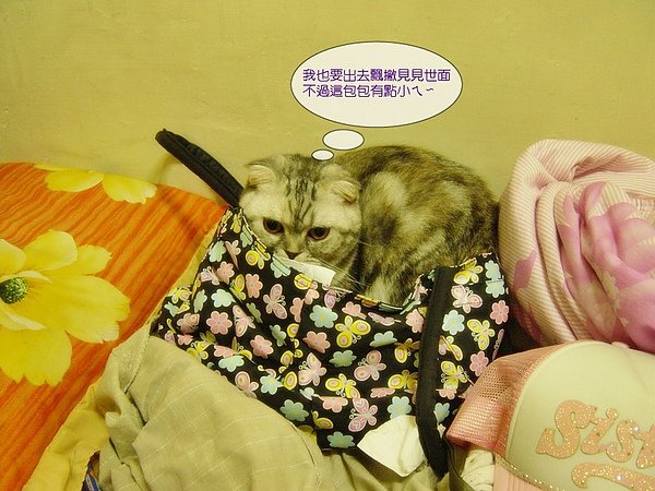 塑膠袋情緣~018.jpg