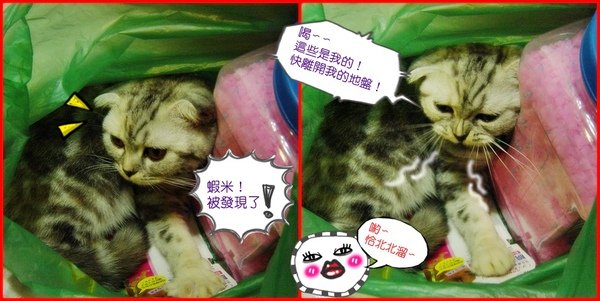 塑膠袋情緣~010.jpg