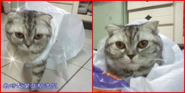 塑膠袋情緣~008.jpg