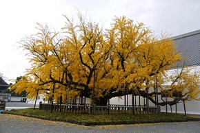 P1020030.jpg