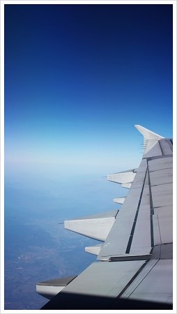 168_回程機內拍攝.jpg