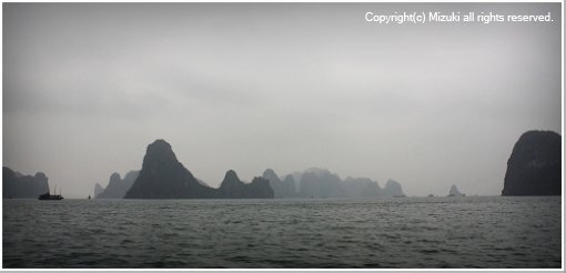 IMG_5354.jpg