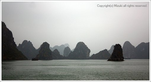 IMG_5369.jpg