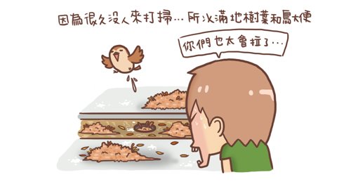 鳥屎3