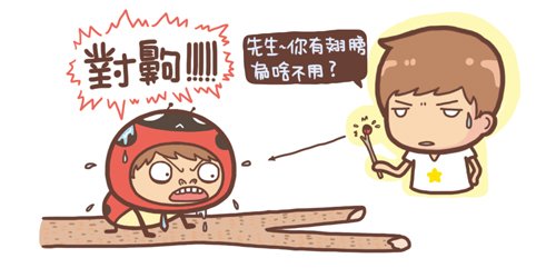 昆蟲沒腦6.jpg