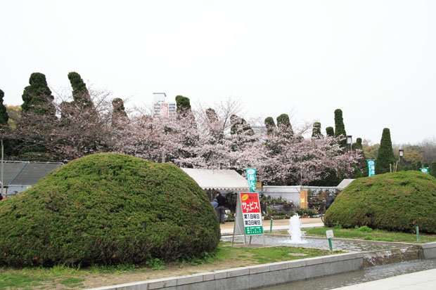 廣場上還有在辦假日花市的活動