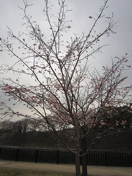 IMG_7888.JPG