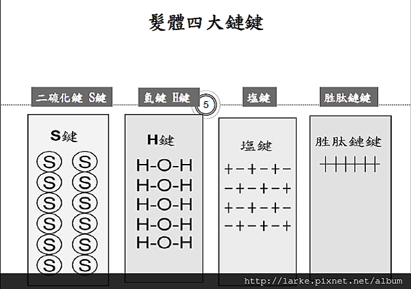 structure02.png