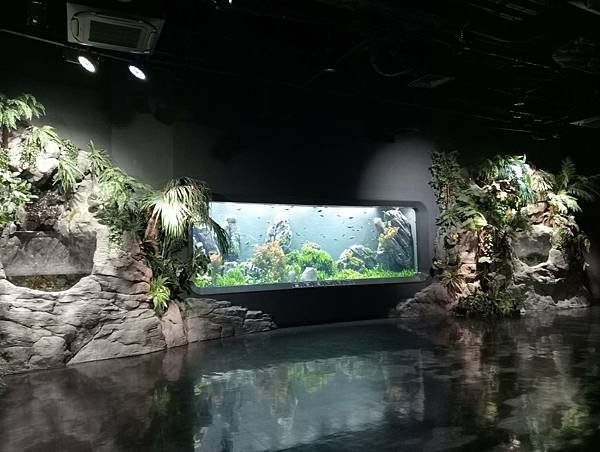 沖繩DMM水族館參觀