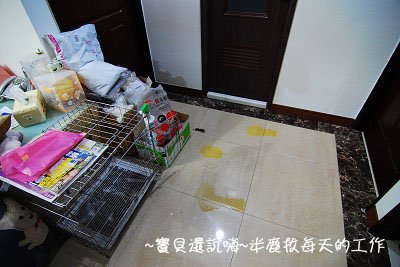 米鹿拔每天的工作