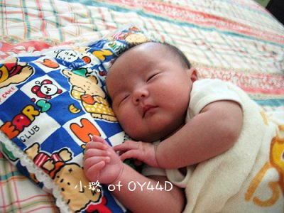 98.7.24-life of 0Y44D-1.jpg