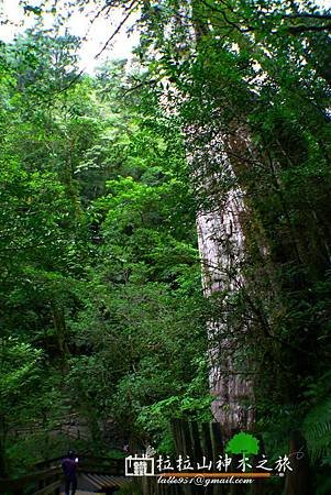 P5040159