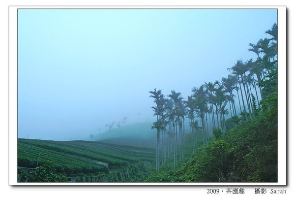 PICT0139.jpg