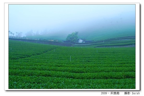PICT0147.jpg