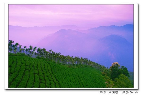 PICT0175.jpg