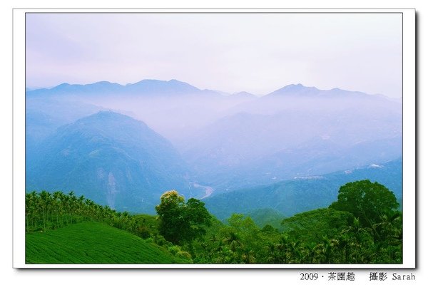 PICT0219.jpg