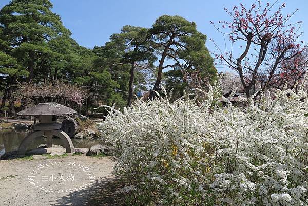 6005-善光寺.JPG