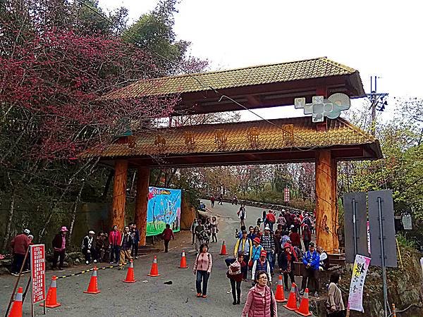IMG_20170207_161005_mh1486472102440.jpg